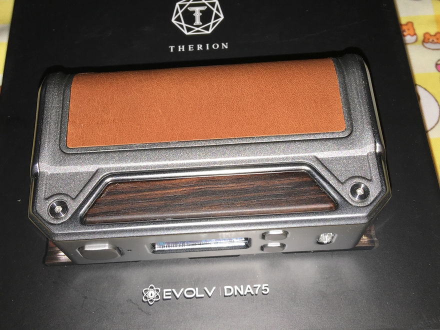 Therion DNA75_13